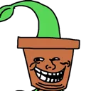 trolltop