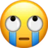 7eyerollcry Discord Emoji