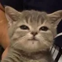 ehehe