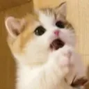 pls