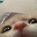 peek