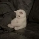 lonely