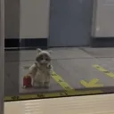 omw