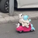 nyooommmm