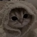 comf