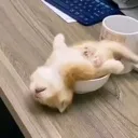 eepy