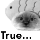 truegat truegat
