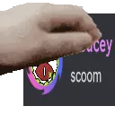 scoom