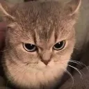 mad