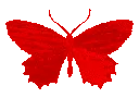 1CButterfly1