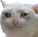 Sad