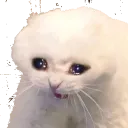 catcry Discord Emoji