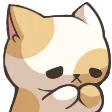 shy