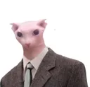bingusadmin40