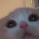 emoji_1
