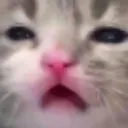 emoji_4