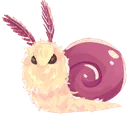 snoth