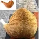 orangechicken