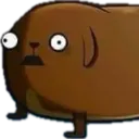 bruhdog