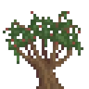 peppertree