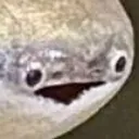 fish_reaction fish_reaction