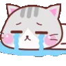CryingCat