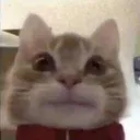 bruh
