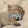 Seepy
