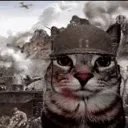 catwar