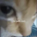 wrizz