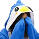 MinaHide
