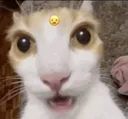 woaw