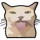 bleh_suroi