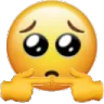 4741emojicryuwu