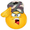 Salute2