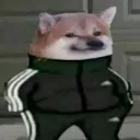chill_dog