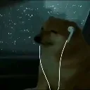 sad_dog4
