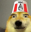 dawg
