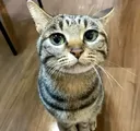 hewillbegrindedintofinedust