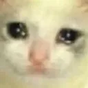 estrana_sad