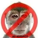 NoAutorizo NoAutorizo