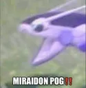 Miraidonahhhhh