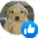 ale_like