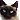 catblink
