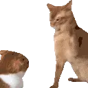 catSlap catSlap