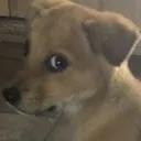 wow