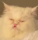 tired