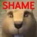 shame2