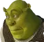 shrekoopsies shrekoopsies