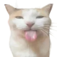 bleh Discord emoji